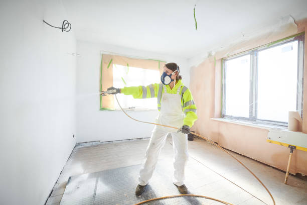 Best Mold Odor Removal Services  in Hill N Dale, FL